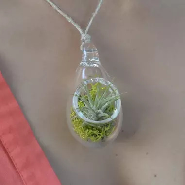 air plant terrarium pendant